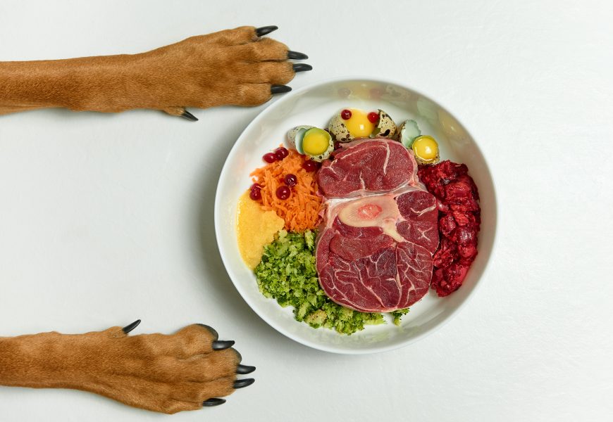 Human-Grade Dog Food