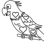 free parrot coloring pages printable