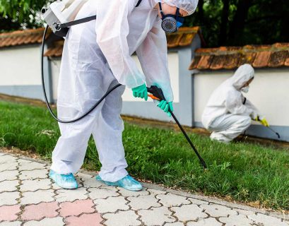 Effective Pest Control in Lahore and Pest Control Services Lahore