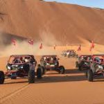 Desert Buggy Driving Experience.