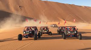 Desert Buggy Driving Experience.