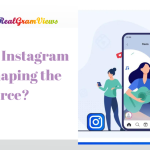 How does Instagram help in Shaping the E-Commerce?