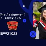 Instant Assignment Help