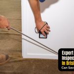 Protecting Your Property How a Termite Inspection in Brisbane Can Save You Thousands