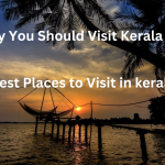 A beautiful landscape showcasing Kerala's scenic backwaters, lush hills, and serene beaches.