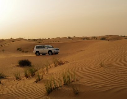 Morning Desert Safari Dubai