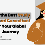 study abroad consultant