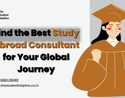 study abroad consultant